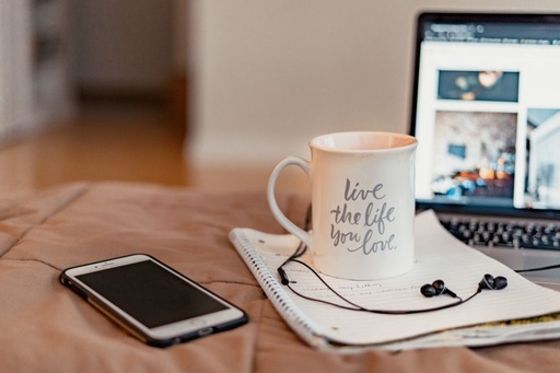 Entrepreneurship & Startup Support